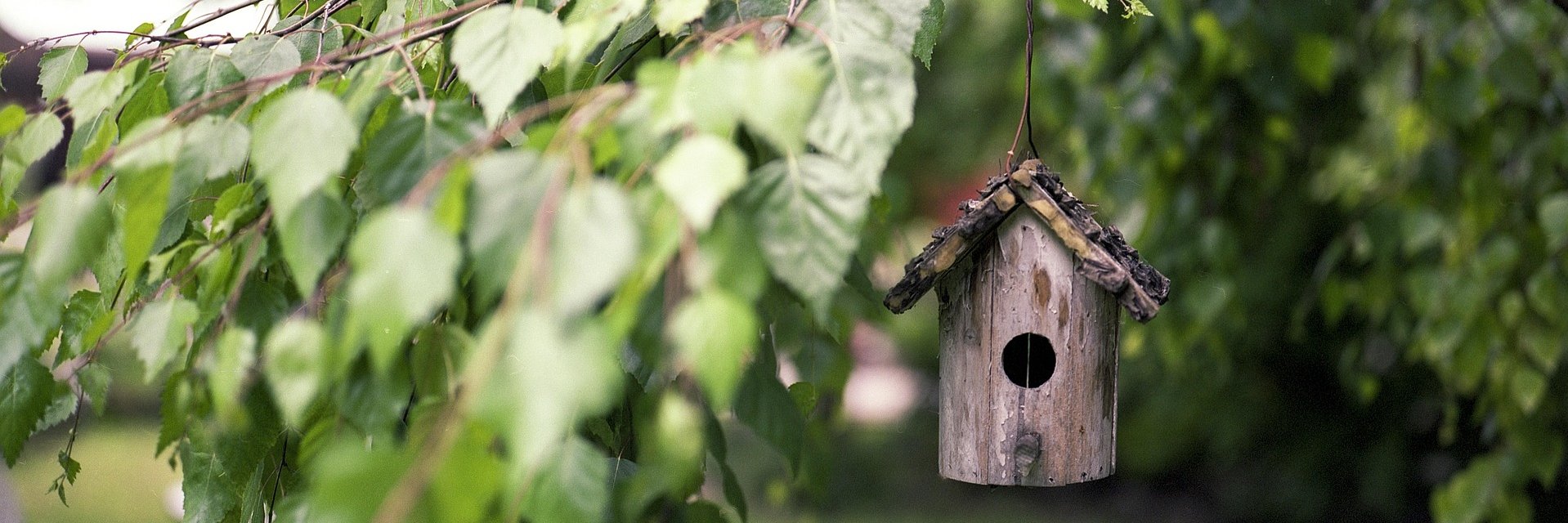 Ein Holz-Vogelhaus hängt an einem Ast von einem Baum mit grünen Blättern