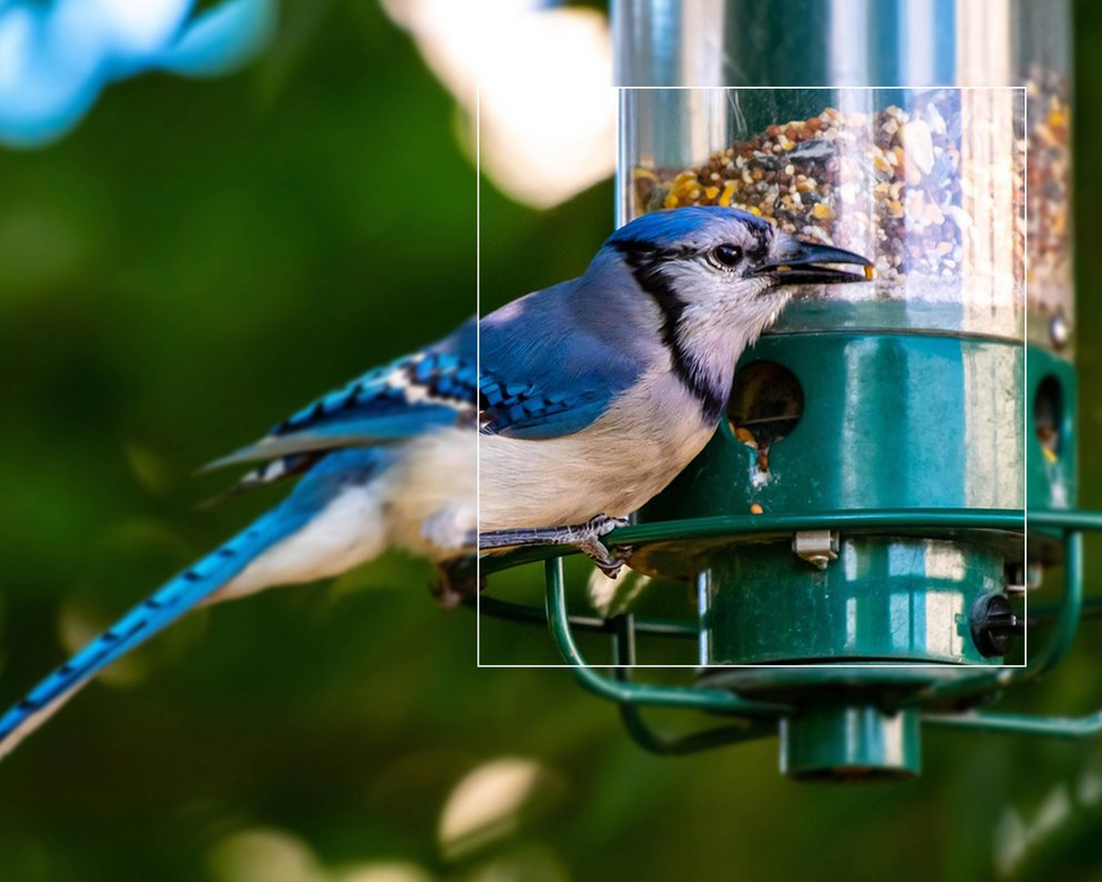 Blauer Vogel sitzt an einer grünen Futterstelle und frisst Körner