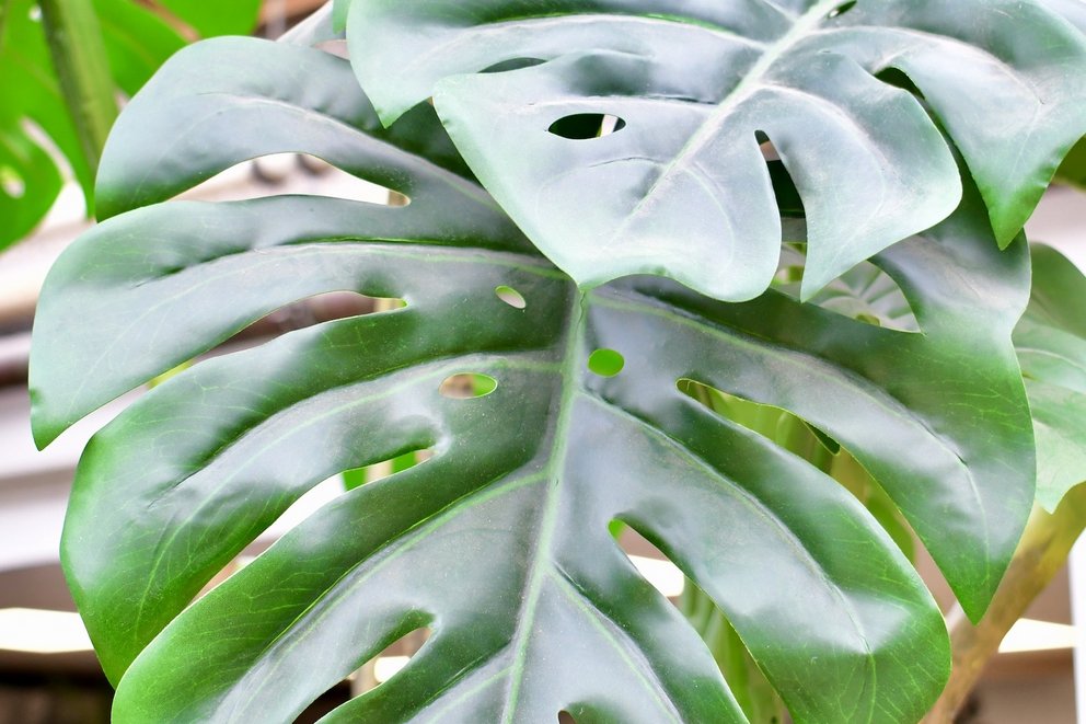 Künstliche Pflanze Monstera