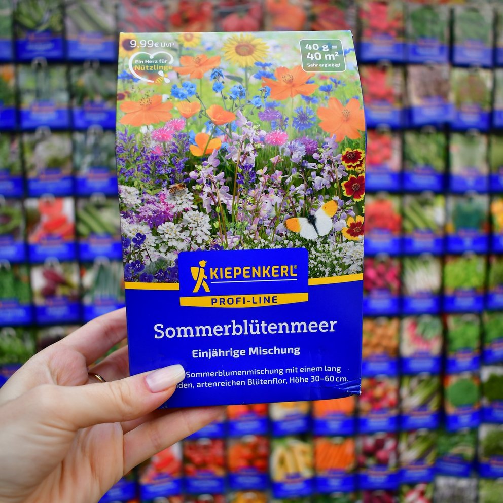 Saatgut für eine Blumenwiese wird in der Hand gehalten, im Hintergrund sieht man verschiedene andere Samen-Tüten