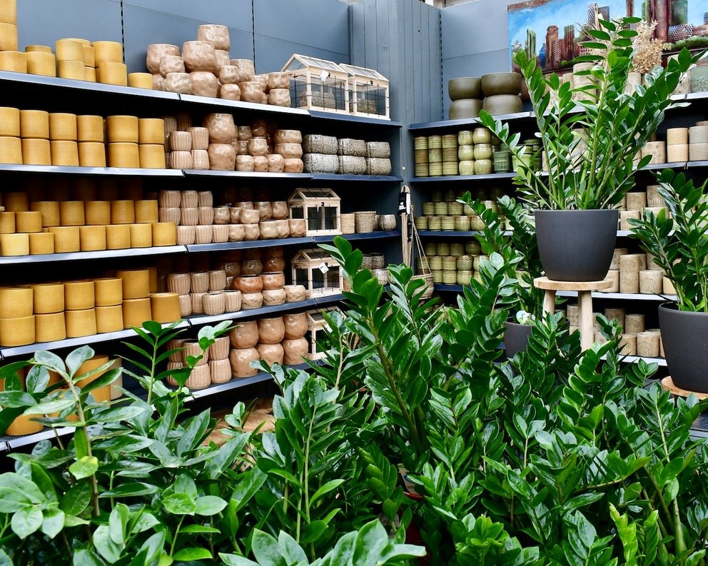 Übertöpfe bei Dinger’s Gartencenter