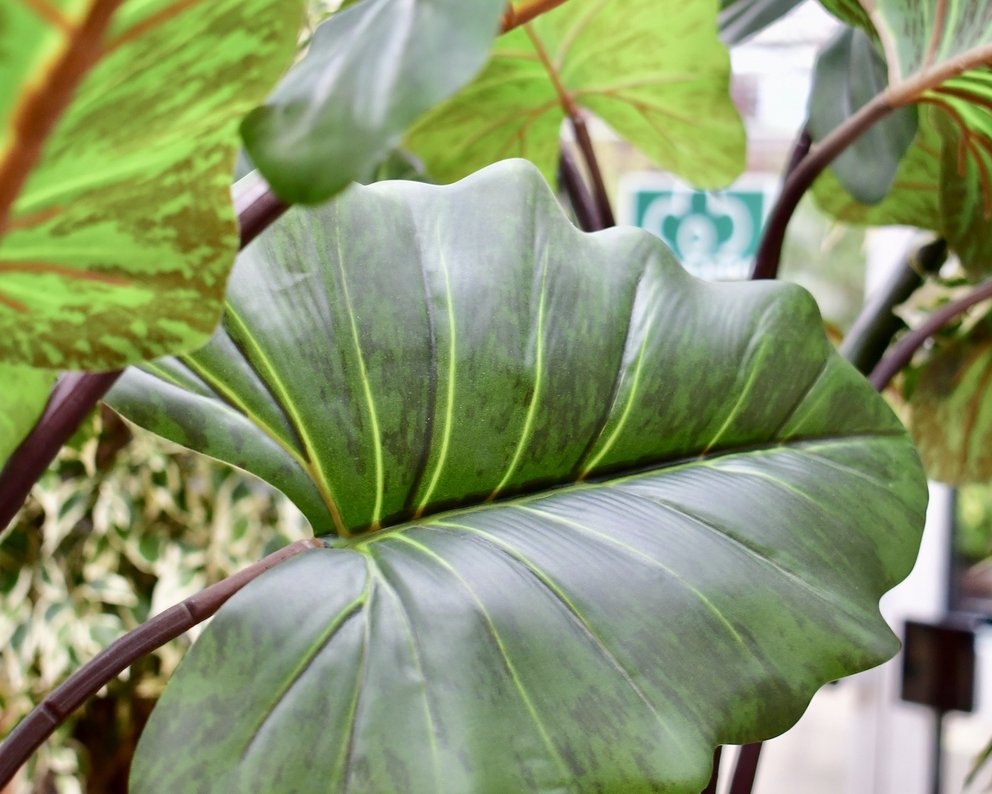 Künstliche Pflanze, einzelnes grünes Blatt