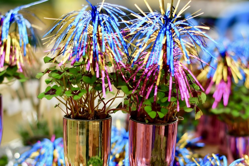 Saisondeko Neujahr Silvester