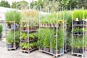 Verschiedene Gräser die auf sogenannten CC Karren verladen sind.