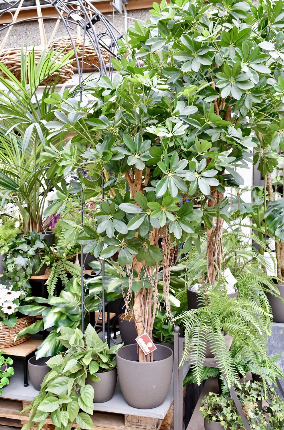 Künstliche Pflanze im Topf