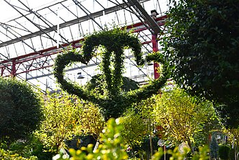 Zwei ineinander gewachsene Herzen aus Grünpflanzen vor einer herbstlichen Gartenkulisse