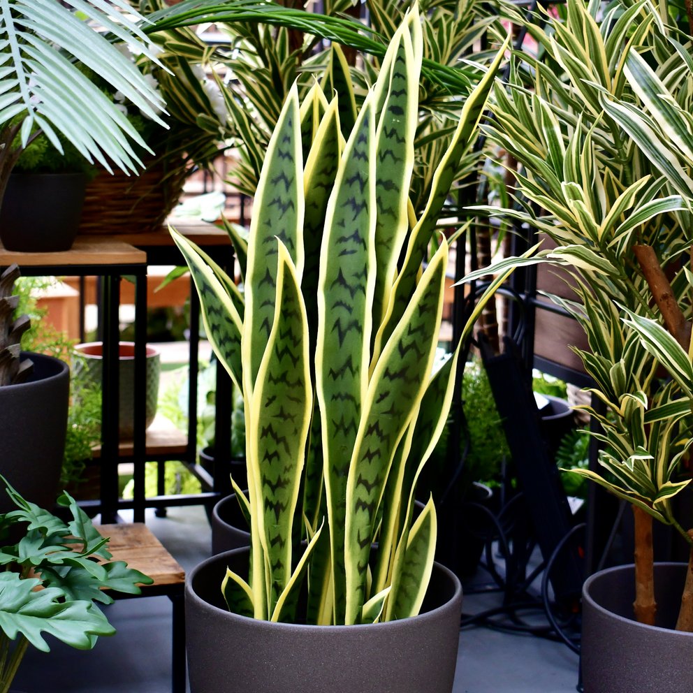 Künstliche Pflanze Bogenhanf