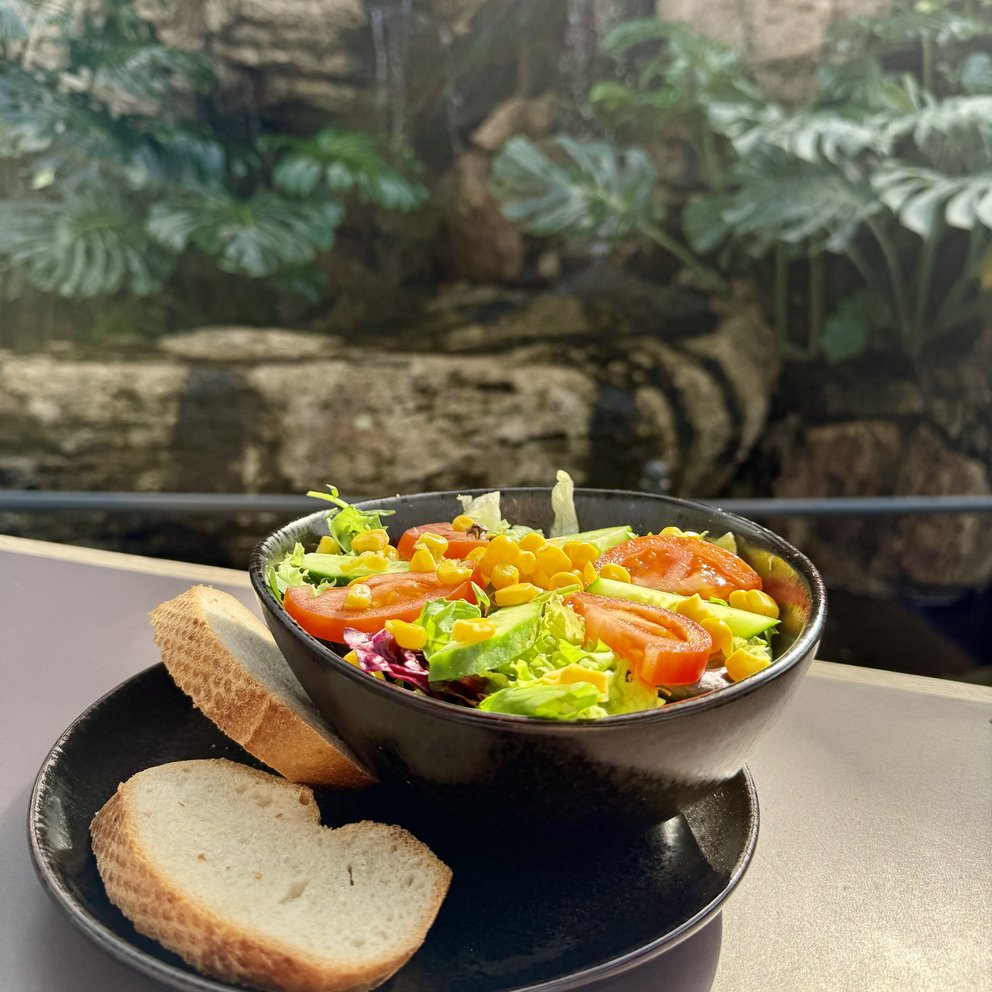 Salat im Palmencafé