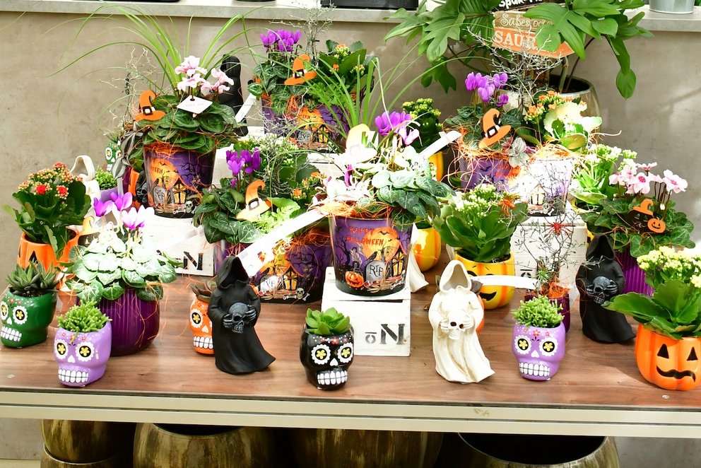 Saisondeko Herbst Hexen