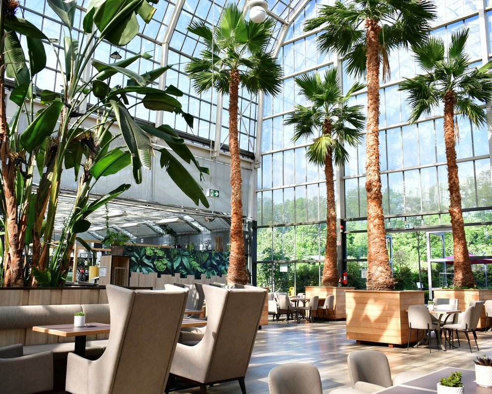 Vier große Palmen stehen in einem Glaspavillon. Dazwischen stehen Tische und Stühle