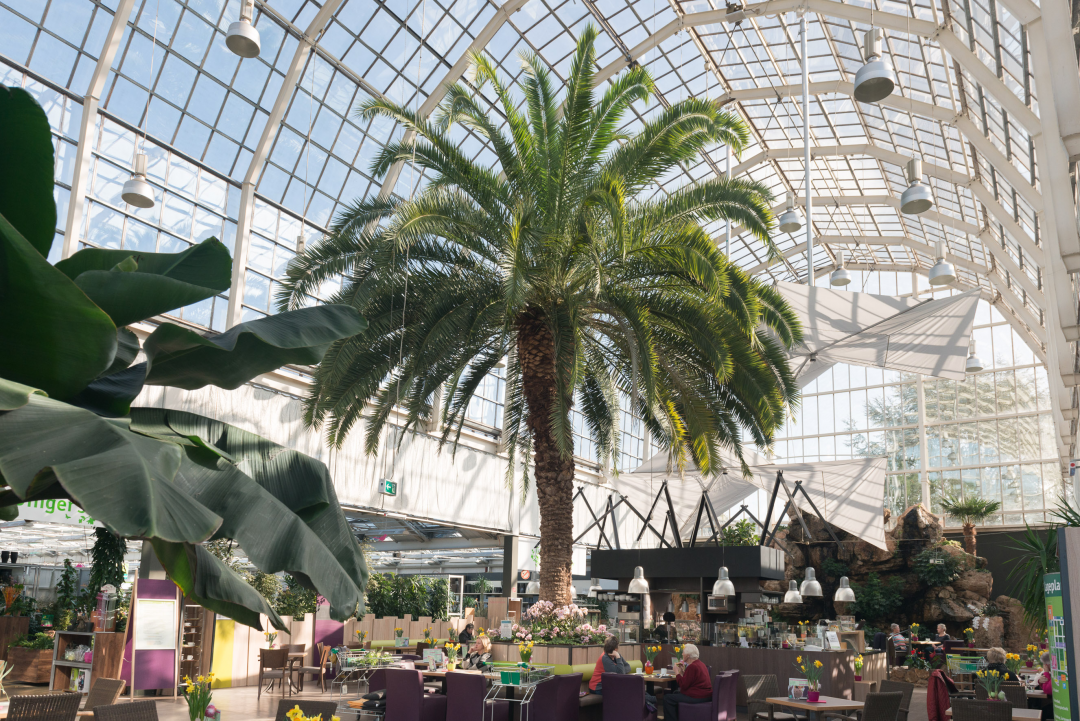 Palmencafé