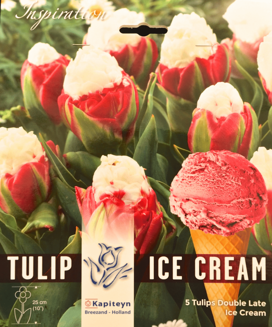 Icecream