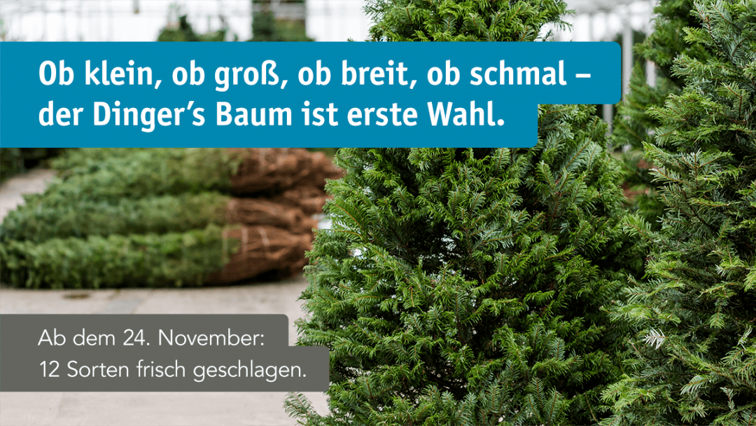 fb_okt_weihnachtsbaum_w1200