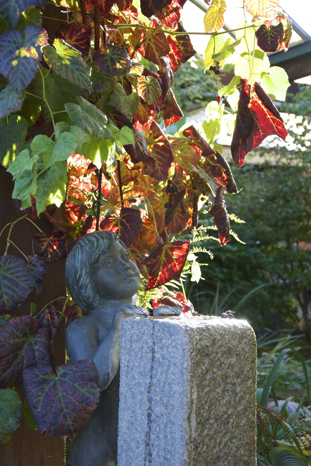 Skulpturen und Pflanzen in unserem Wassergarten