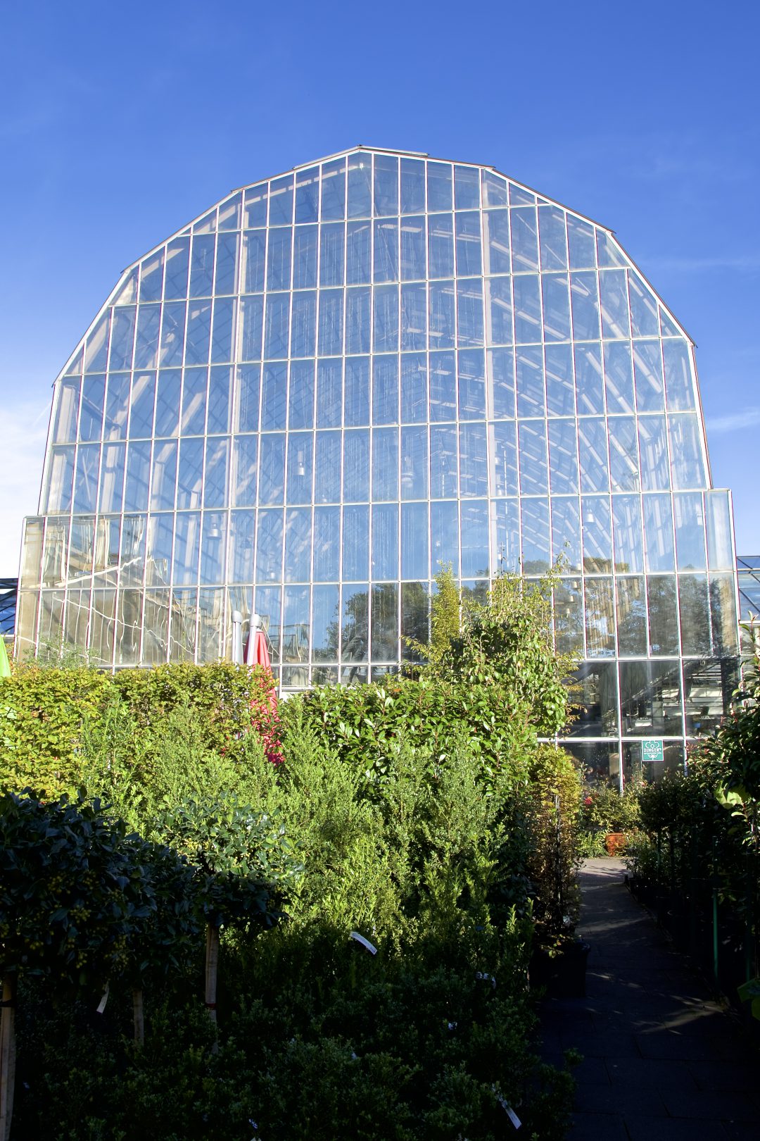 Blick auf unser Palmencafé aus dem Wassergarten