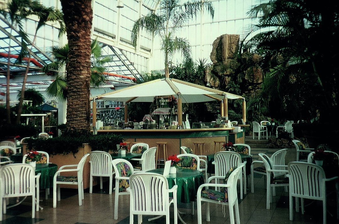 Café mit großer Palme in der Mitte