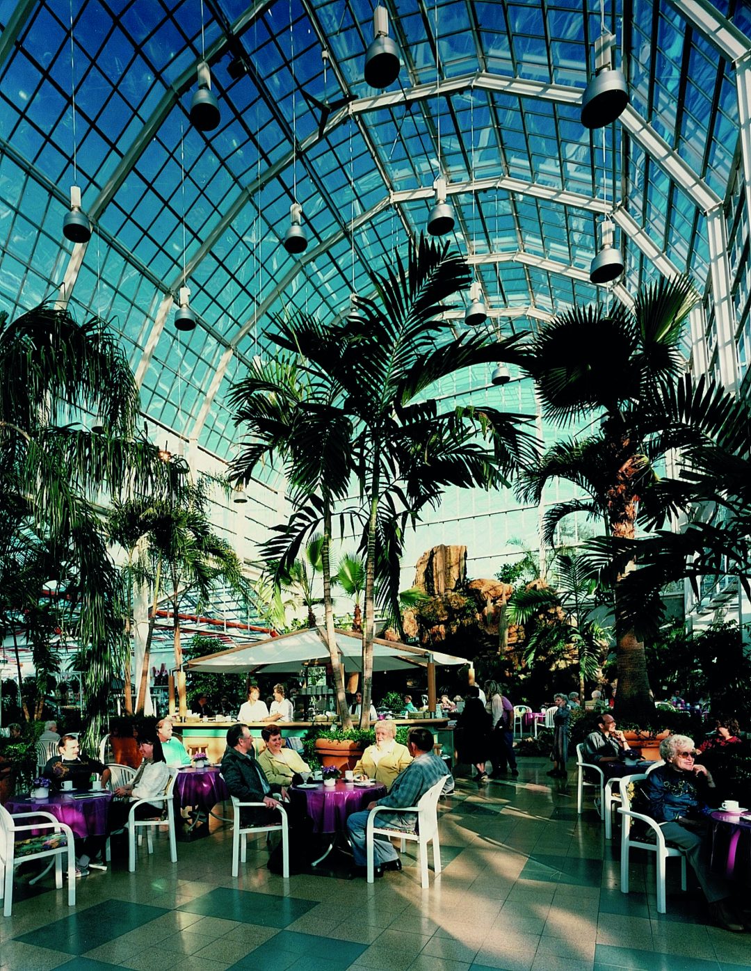 Das alte Palmencafé mit vielen Palmen