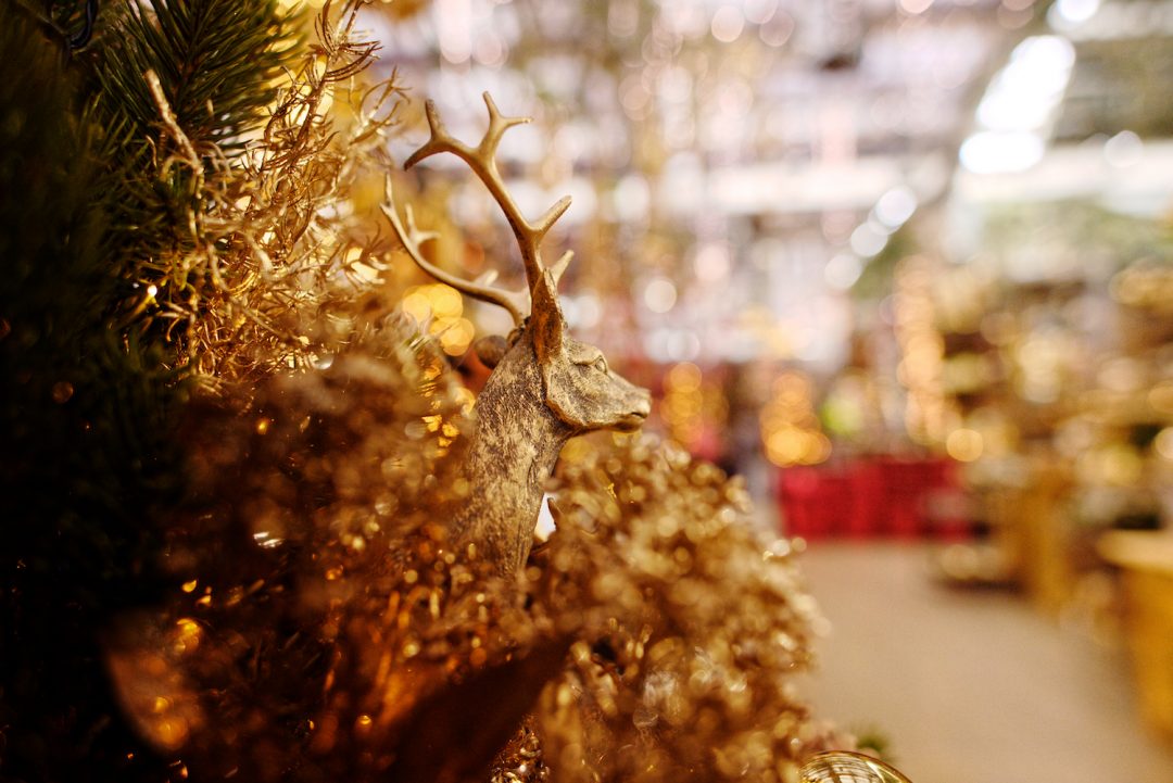 Kopf eines goldenen Hirsches inmitten von goldener Weihnachtsdeko.