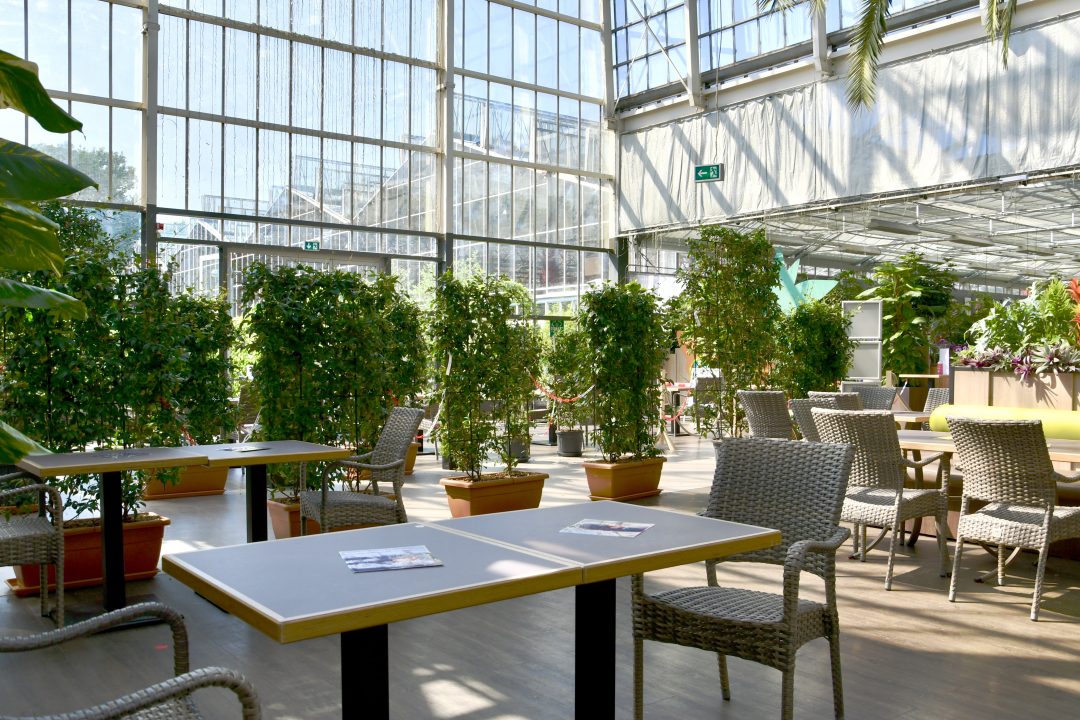 Dinger’s Palmencafé in Coronazeiten. Die Tische stehen auseinander damit ausreichend Abstand da ist, der Hauptgang ist mit Hecken abgetrennt.