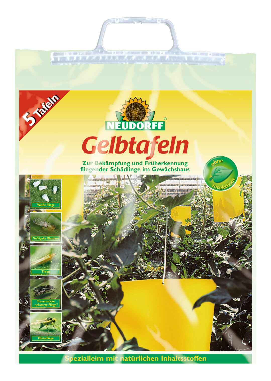 Gelbtafel zur Bekämpfung von Trauermücken