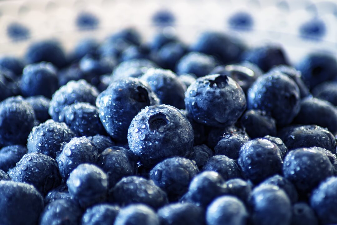 Viele frische Blaubeeren nebeneinander