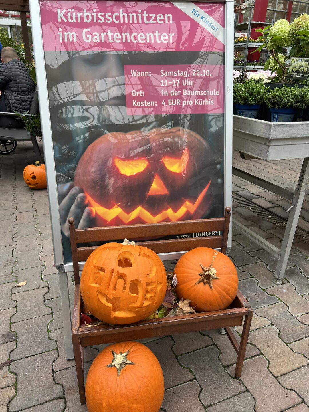 Veranstaltungen für Kinder wie das große Kürbisschnitzen im Gartencenter.