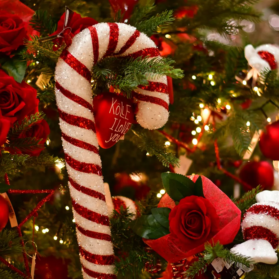 Zuckerstangen und rote Kugeln an einem geschmückten Baum